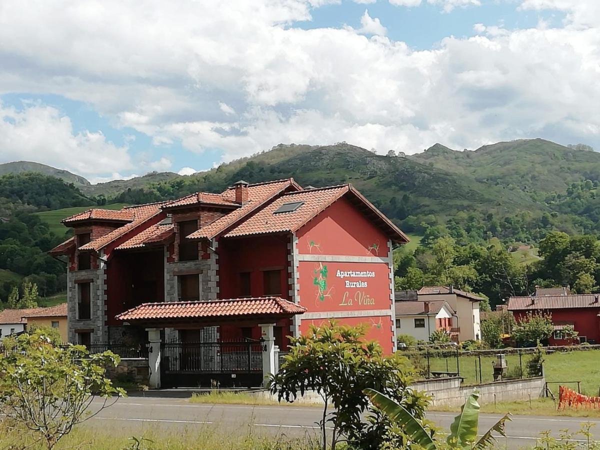 Apartamentos Rurales La Vina Кангас-де-Онис Экстерьер фото
